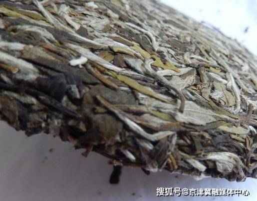 福鼎|刘月好:福鼎白茶的文化传承