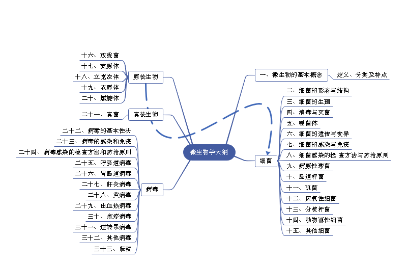 一张思维导图带你了解21年执业医师微生物大纲 细菌