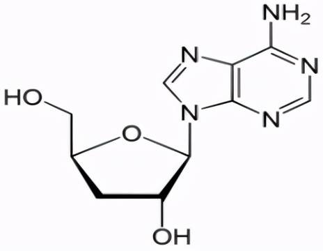 专注修护问题肌肤虫草素成护肤市场新宠