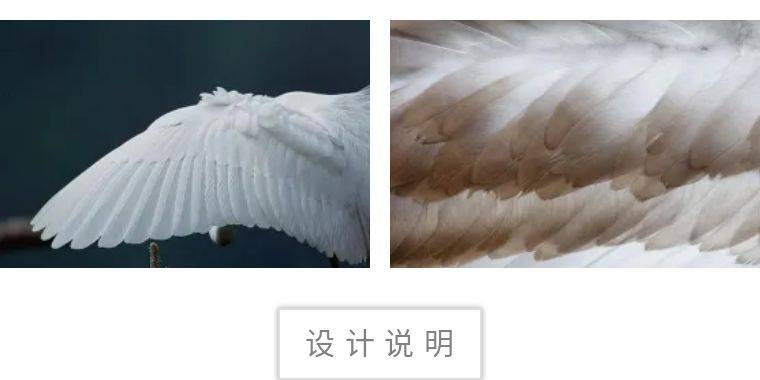 梦的羽翼,解读梦到对着一只雪白的鸟许愿的深层含义 梦的羽翼,解读梦到对着一只雪白的鸟许愿的深层含义