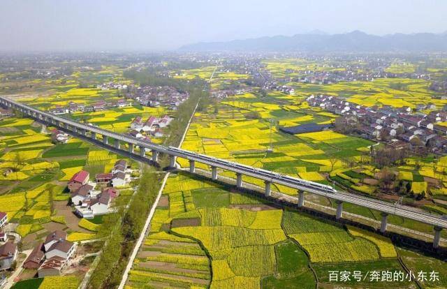 中国最美油菜花，112万亩油菜花，形成巨大的山水盆景