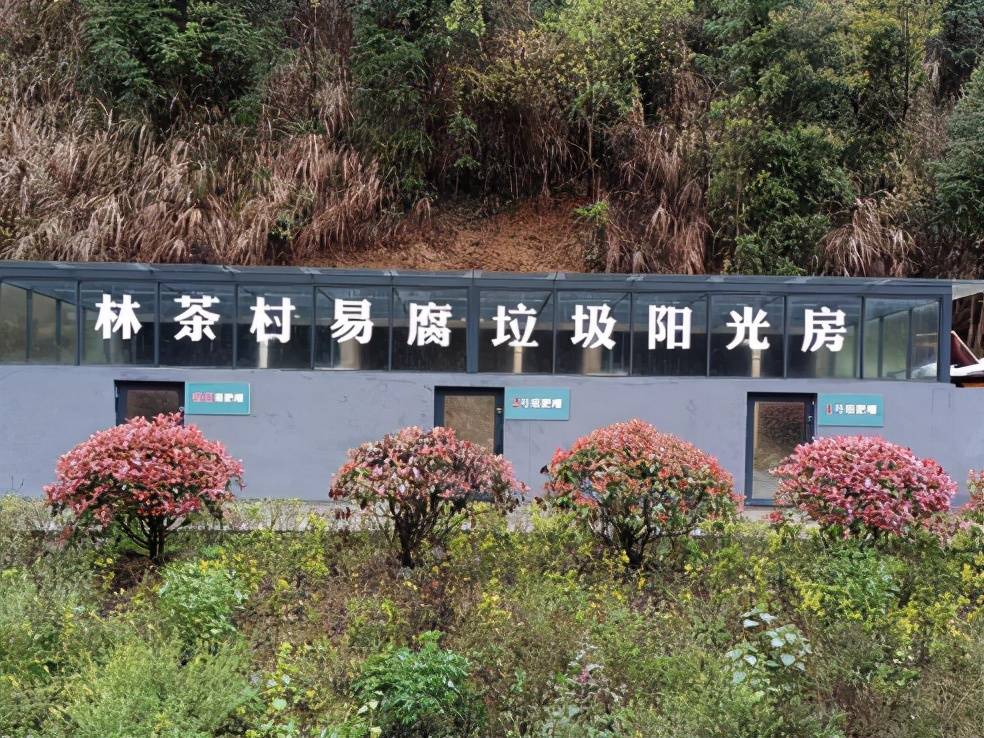 原创建德市莲花镇林茶村因分类先行成为最美乡村
