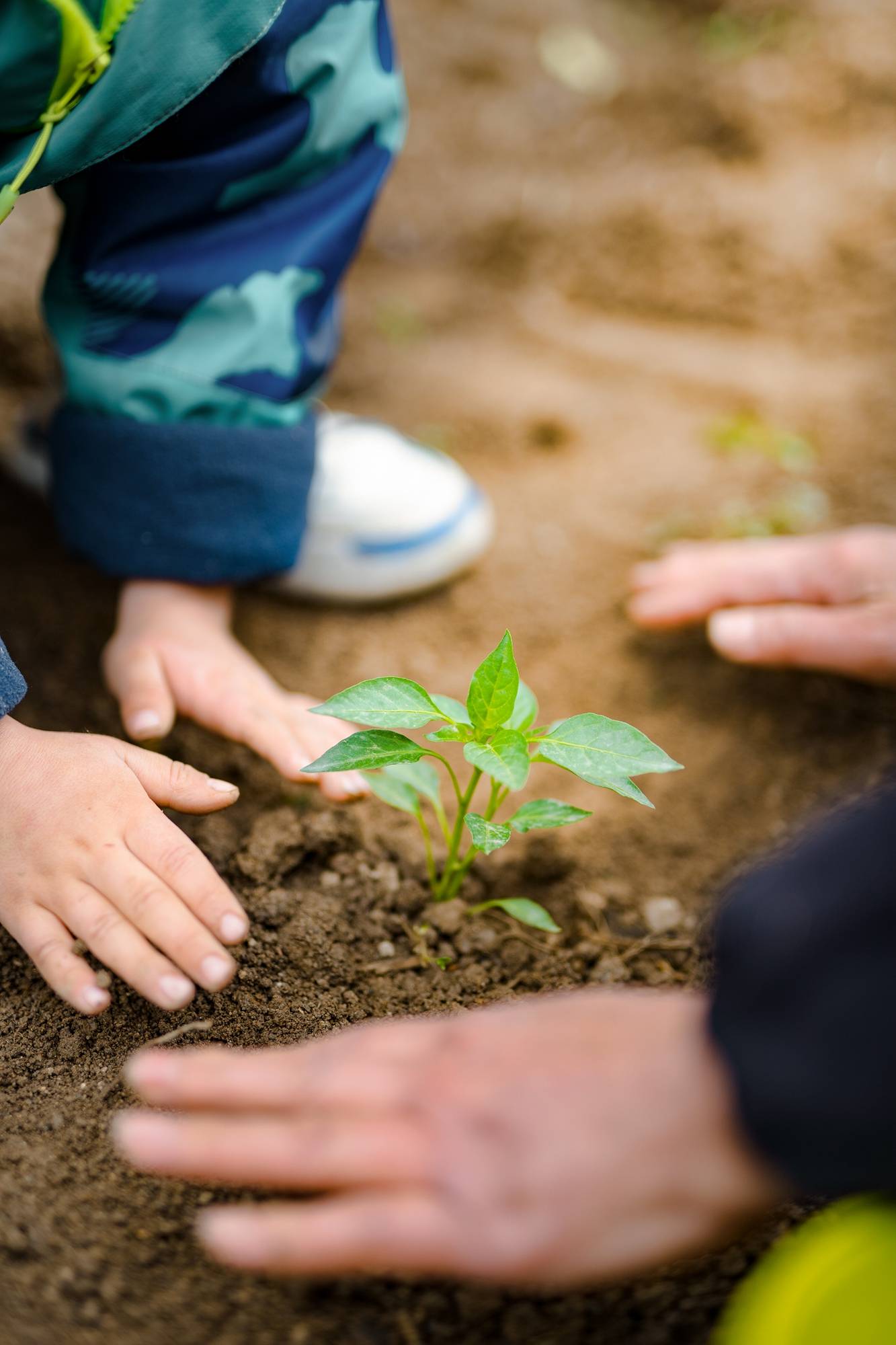 四月春耕季丨在楼房沟承包一块专属菜园,开启种瓜点豆模式