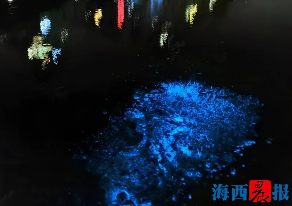 厦门“蓝眼泪”太惊艳！上千游客追“泪”，这里要火了