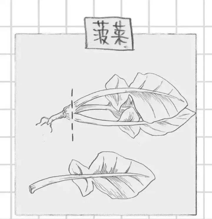 切火鍋食材備料刀工有講究切法是賣點