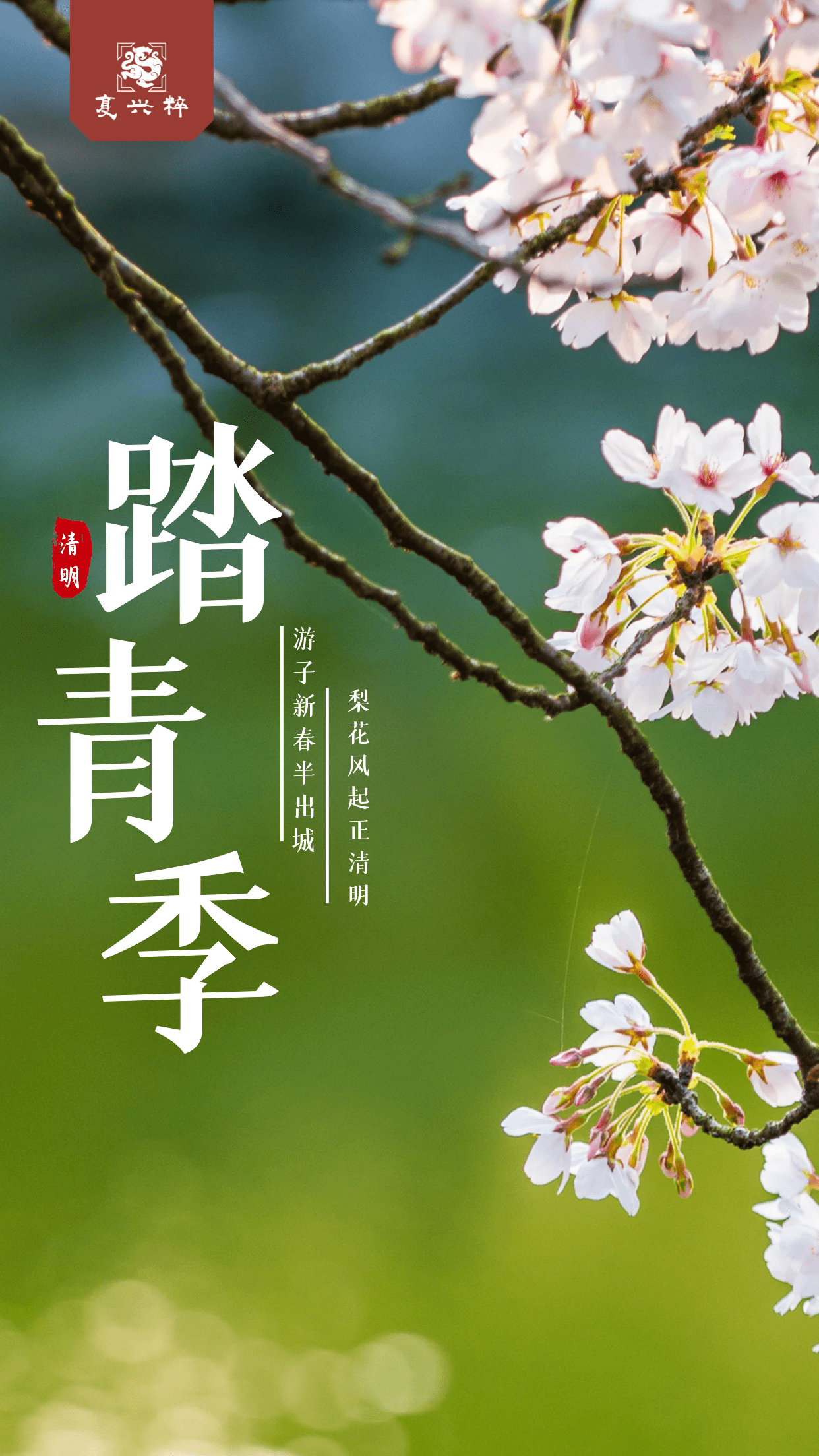 复兴粹培训清明踏青踏青不负好时光