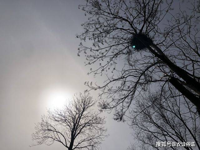 什么头角的成语_成语故事图片