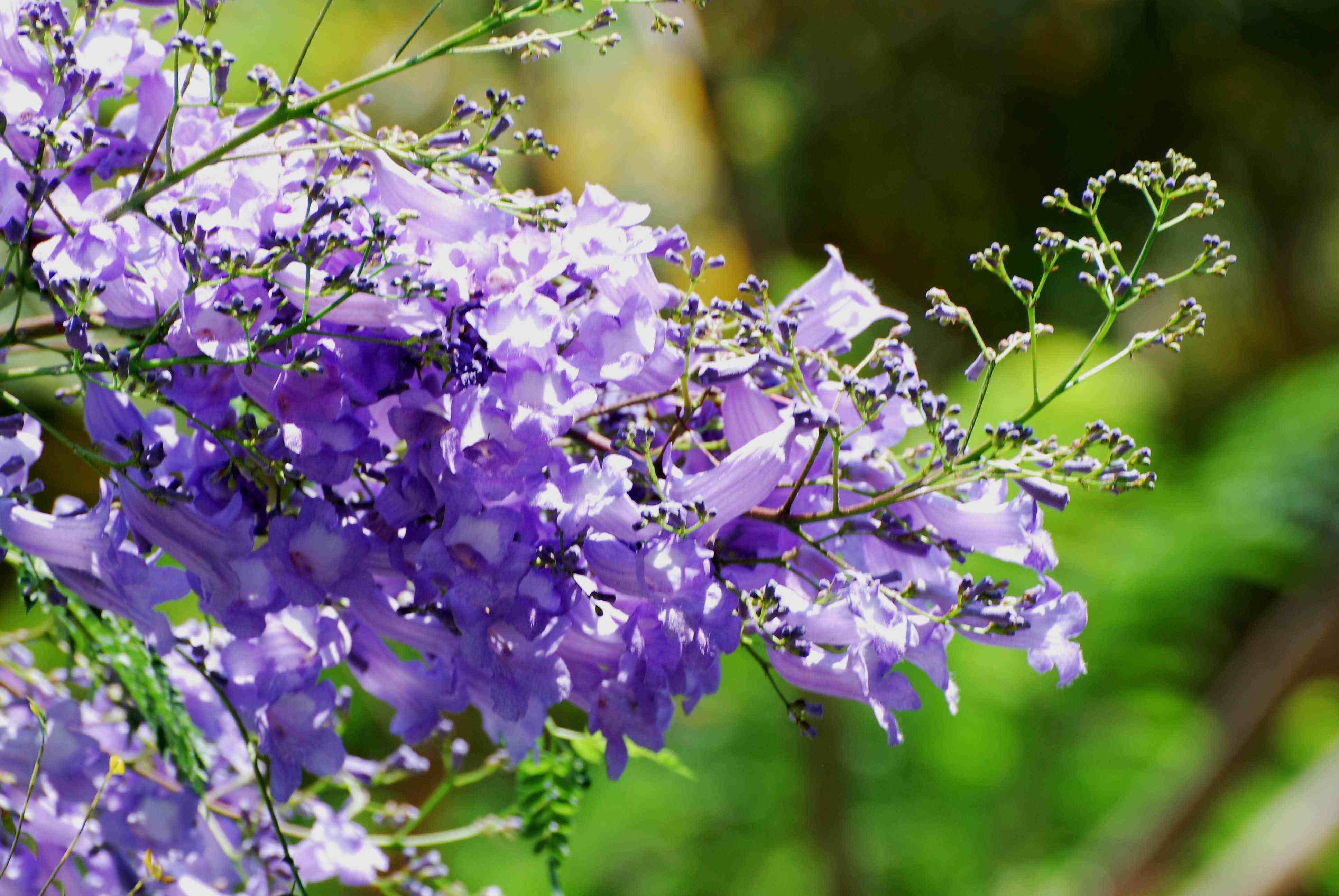 最容易搞定婆婆的星座,巨蟹是理想儿媳,天蝎明事理