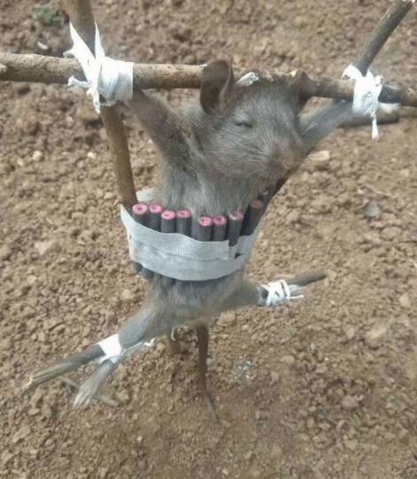 原创
即已背影赢天下,何必转身乱...唉
