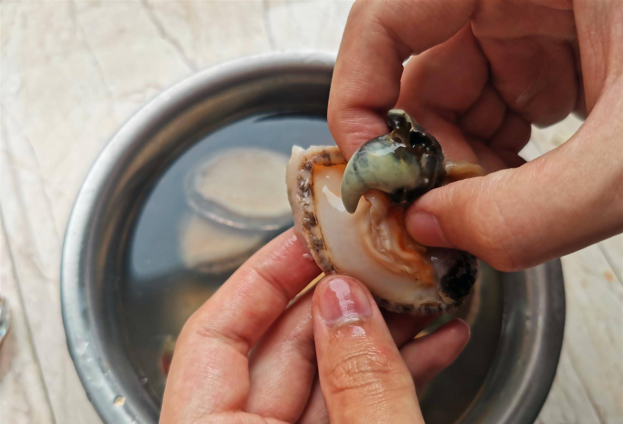 买来小鲍鱼自己在家做,教你清洗和简单做法,和大厨做的一样好吃