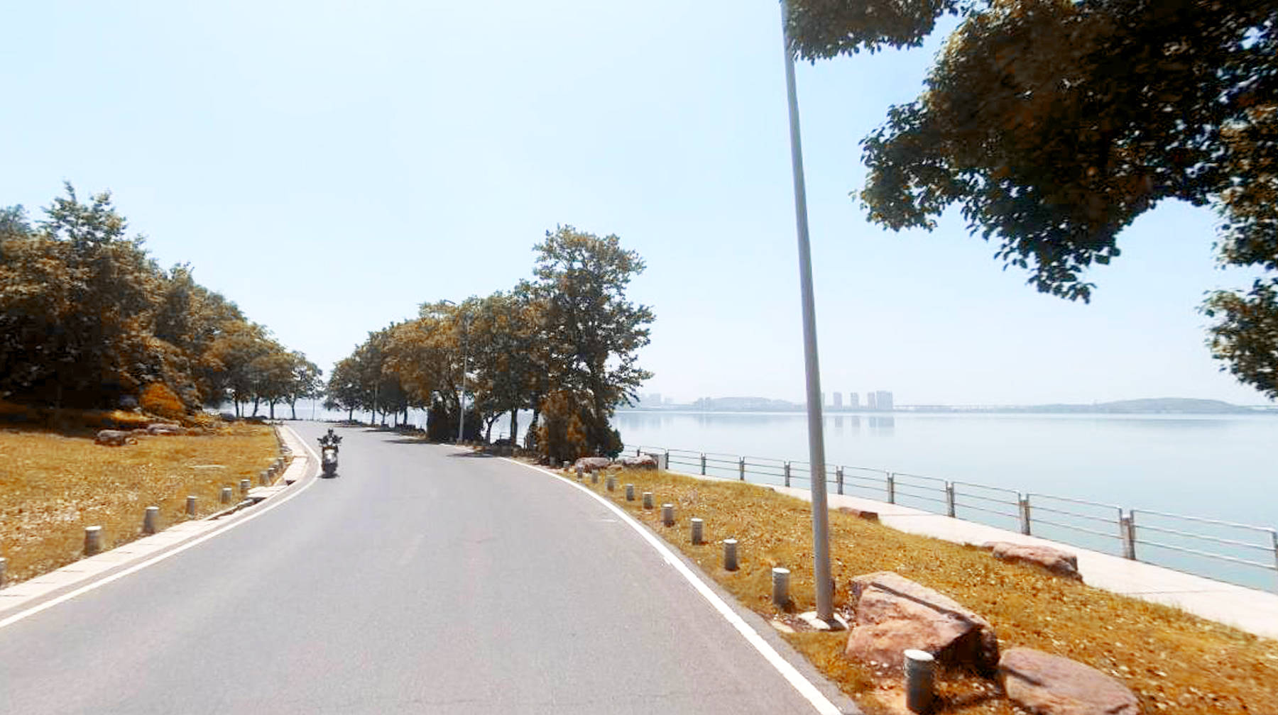 武汉远城区有条湖景马路：意境与白居易诗句很像，充满海滨风格