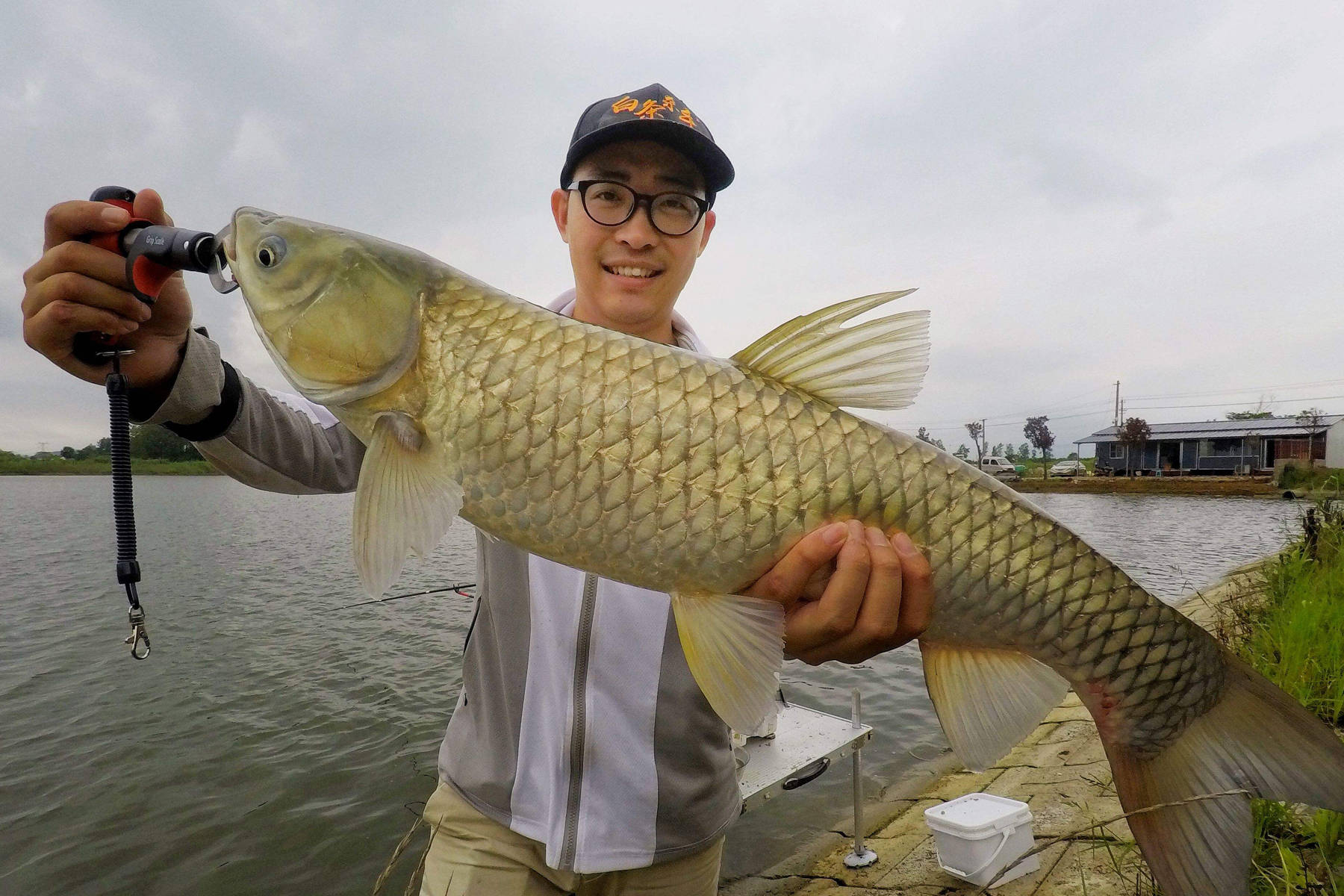 原创草鱼最喜欢吃哪种味型的鱼饵钓草鱼效果最好的鱼饵配方