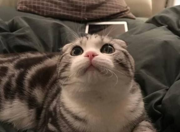f3656bd53fd64cd39fff10ed5c9028c7.jpeg
