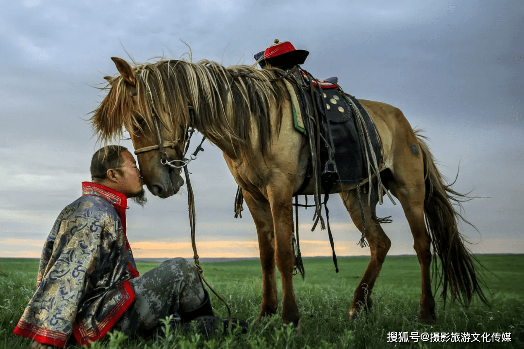 精彩影像|《蒙古马摄影艺术作品展》——《风情》