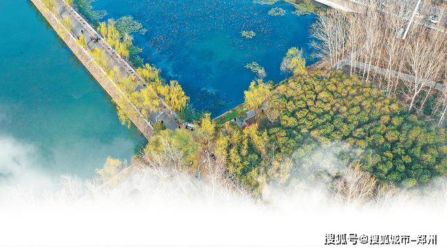 河南省今年国土绿化任务完成过八成