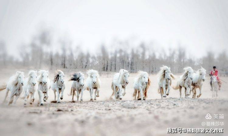 蔓什么成语_成语故事图片(2)