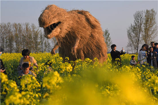 商水邓城油菜花海景美人多,将实行交通管制!_观光