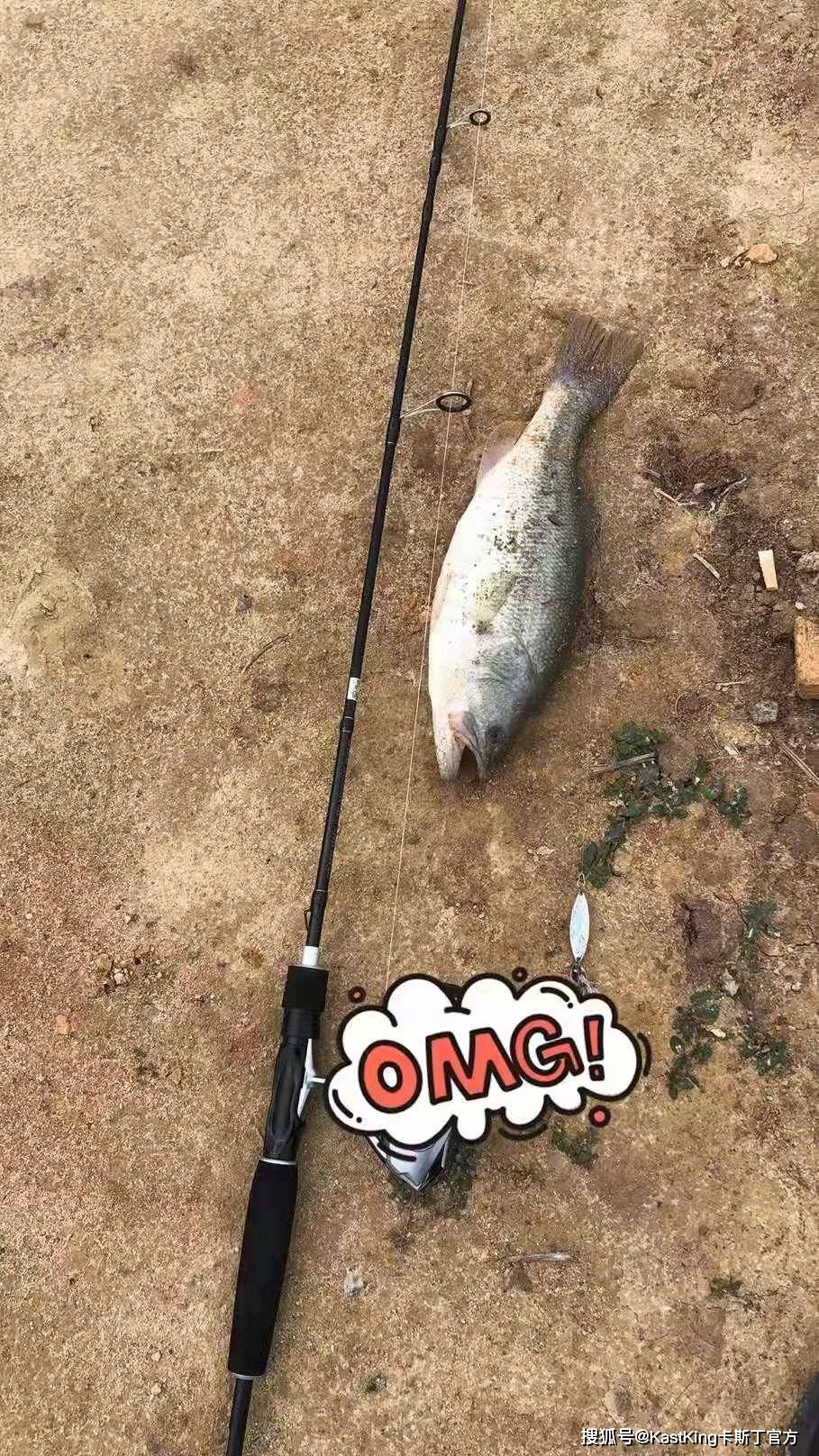 梦境解析，一竿钓起大鱼——梦见蚯蚓钓鱼的深层寓意