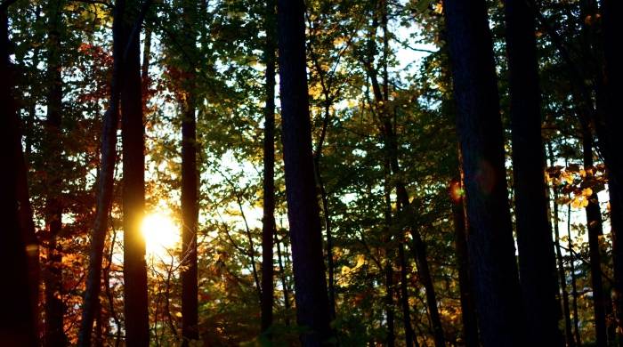 深挖“废旧家电”这座金矿，家电厂商齐心协力还不够！-家电圈官网