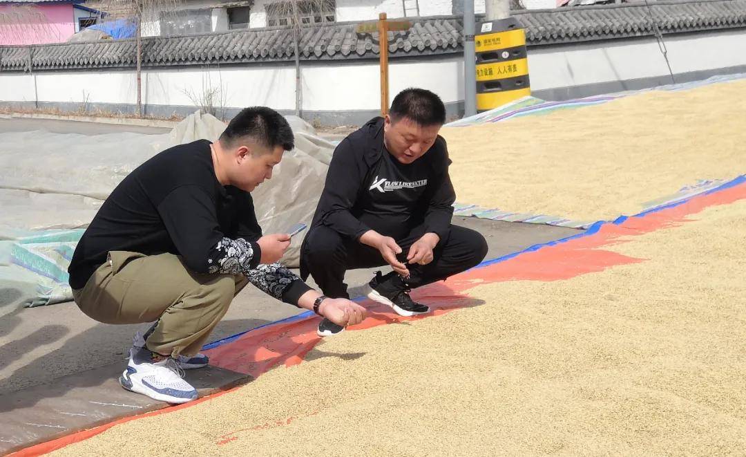 "晓光村家庭农场水稻种植负责人金仁华说.据悉,未来几天,于靖平还将