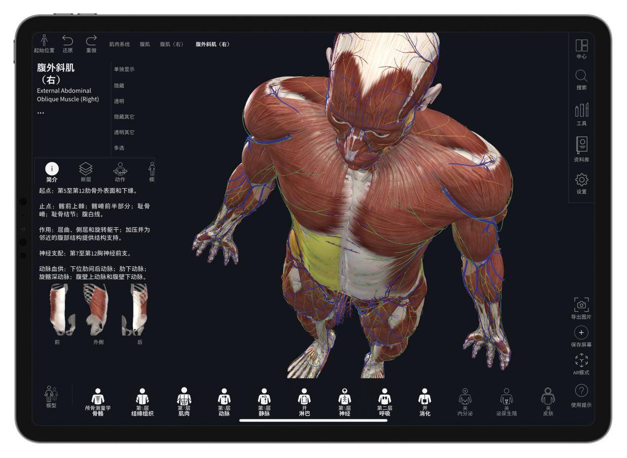 超400所知名院校同款3d解剖appcompleteanatomy中文版重磅上線