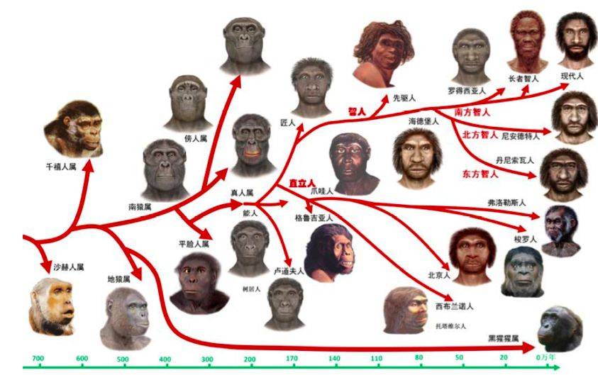 地球人口极限_地球可容纳人口极限为150亿人类需往地下方向发展!