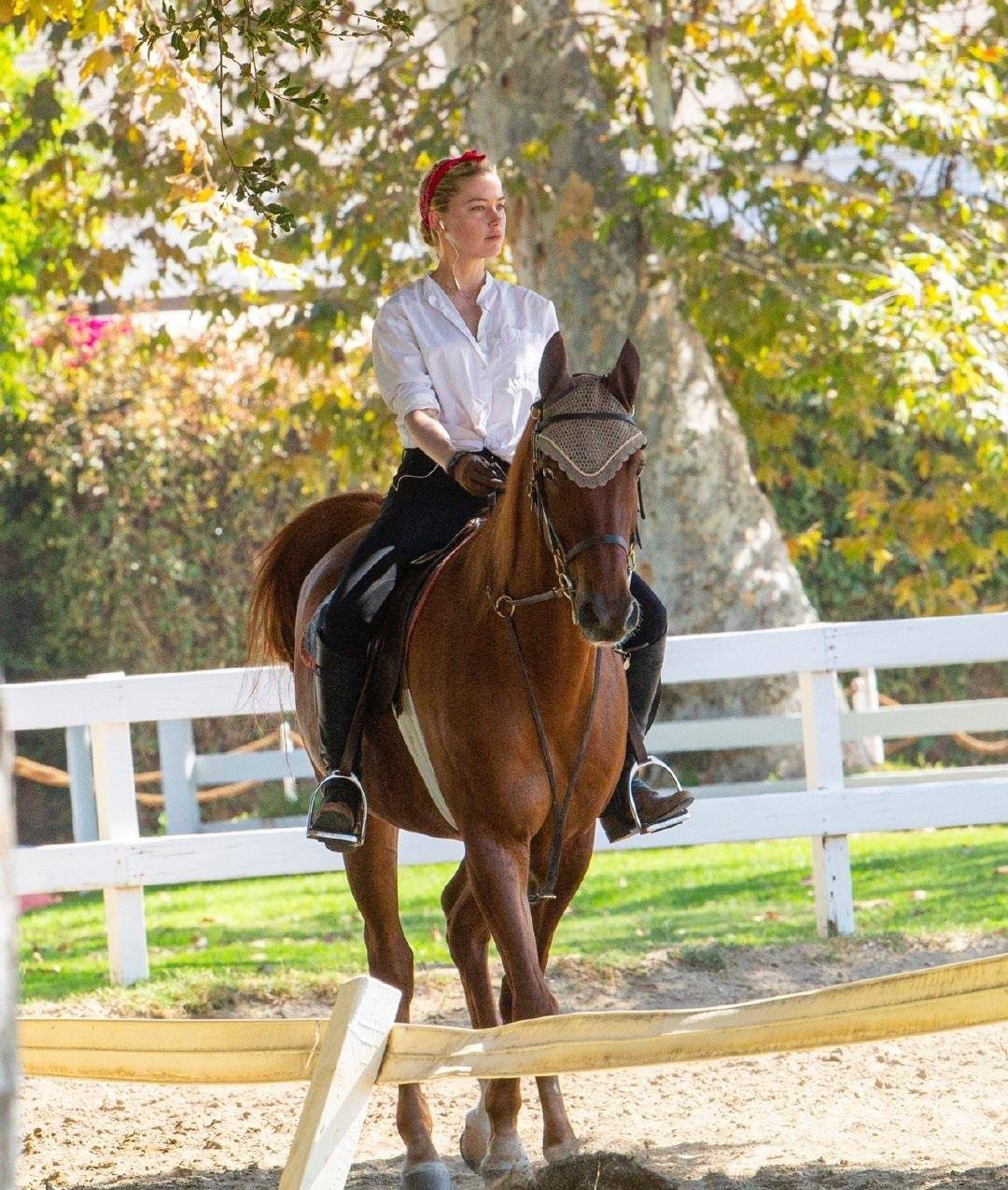 "海后"艾梅伯·希尔德戴着红色发卡穿白衬衣骑马,英姿飒爽