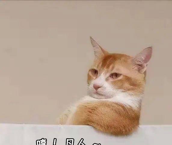 f66484584ec243c9b4a03aa28559b334.jpeg