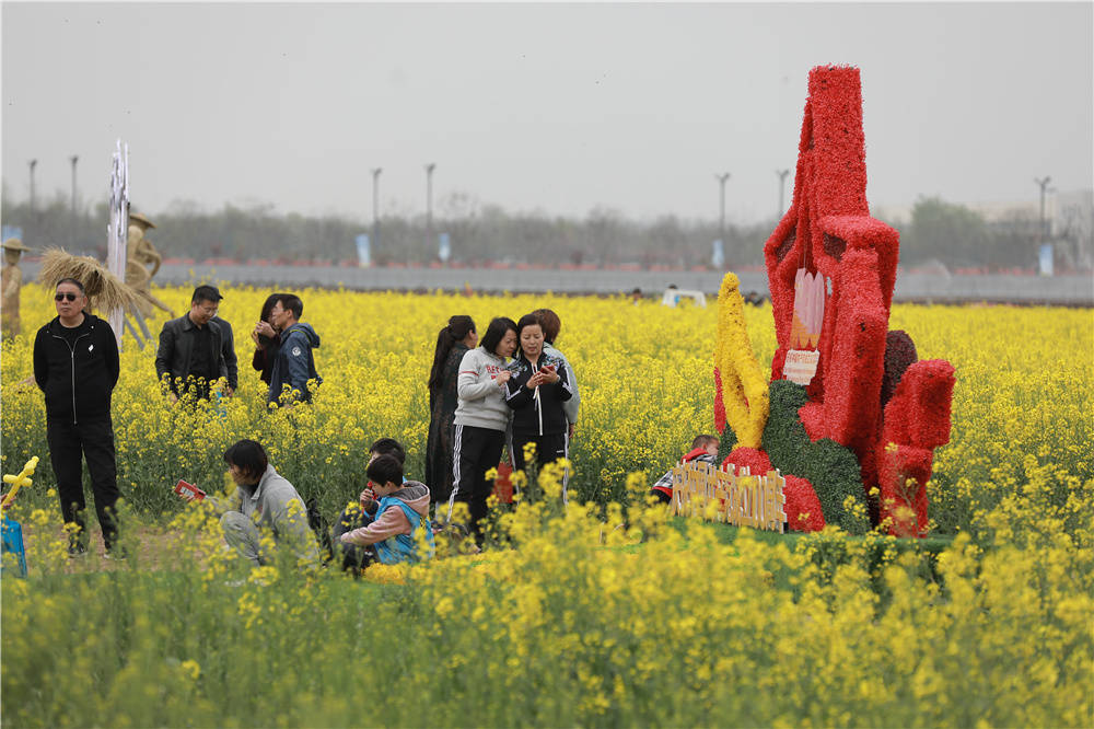 油菜花节趣味活动图片