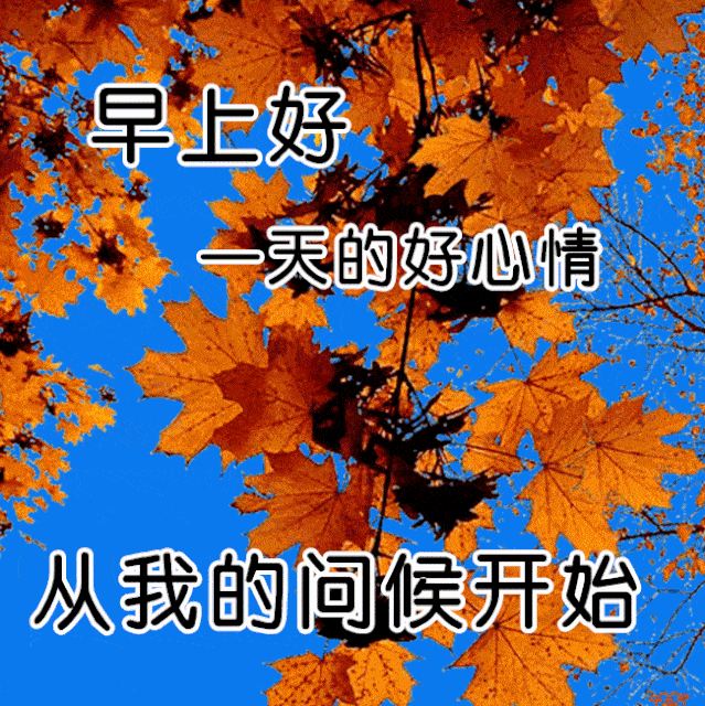 原创2021年早安好阳光祝福优美短句早上好好心情祝福语图片带字温馨