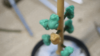 a01f479c16b5455d9a2e905de8500197.gif