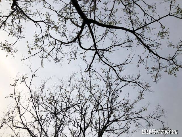 a227c10873c3494197404ad2b8ff2157.jpeg