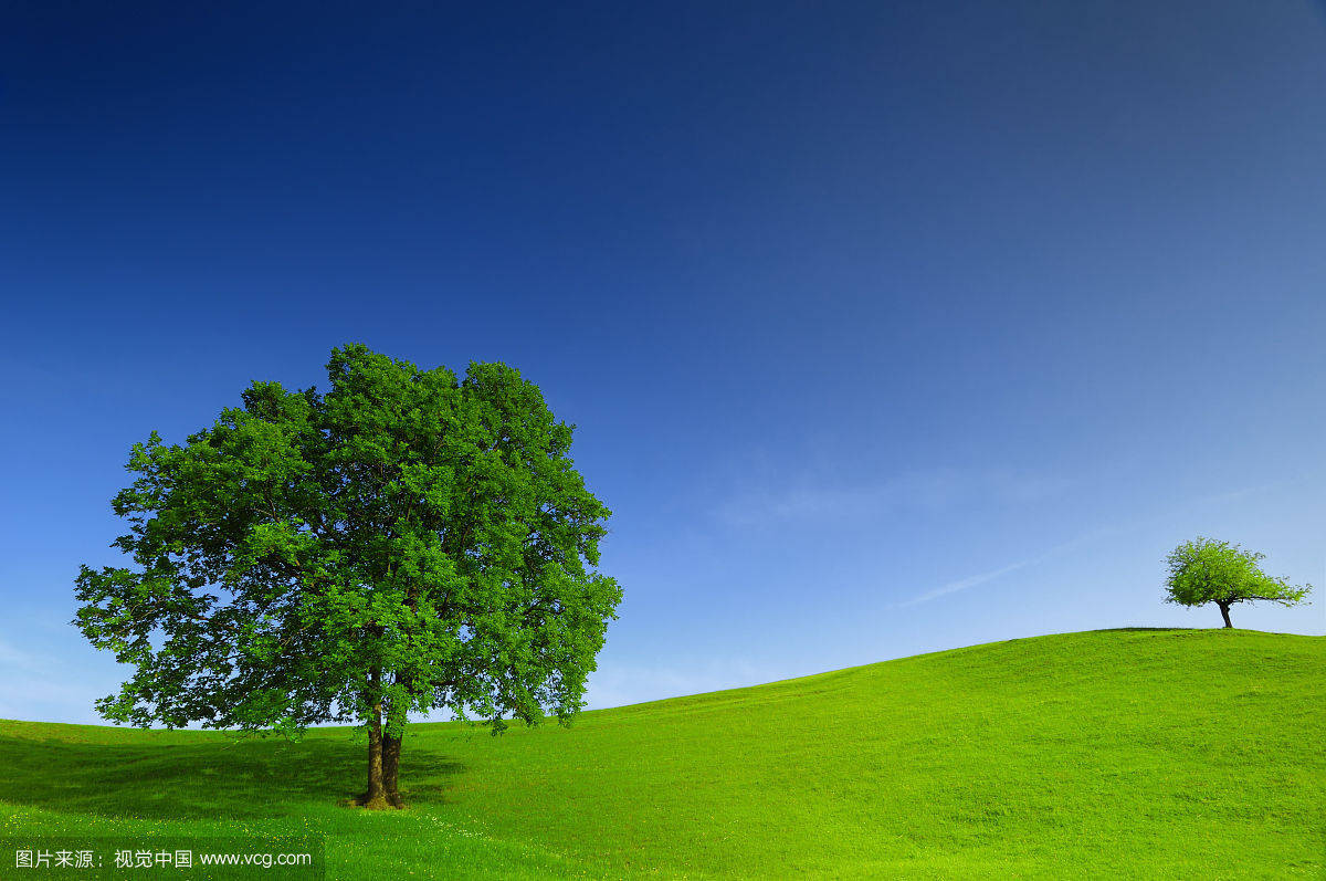 玉圣剑客的相册