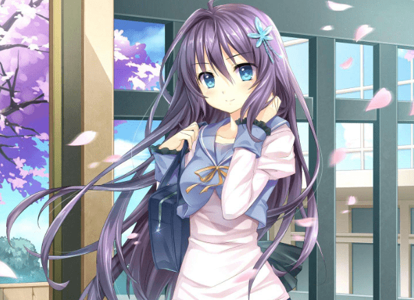 c0e9e930c7d849a0bbdb444527a05da0.png