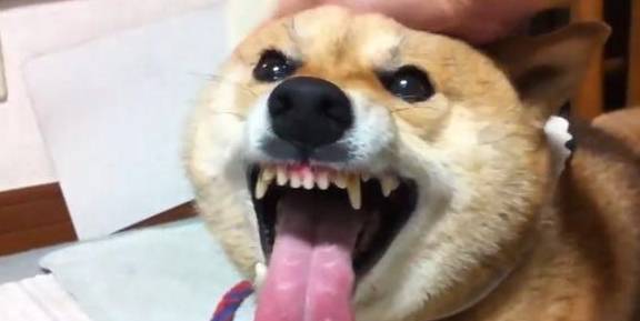 0c79da9e3d80471d85592011495b58ec.jpeg