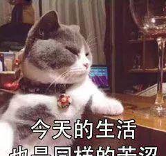 26e721e5a533492eb625a616f56a173f.jpeg