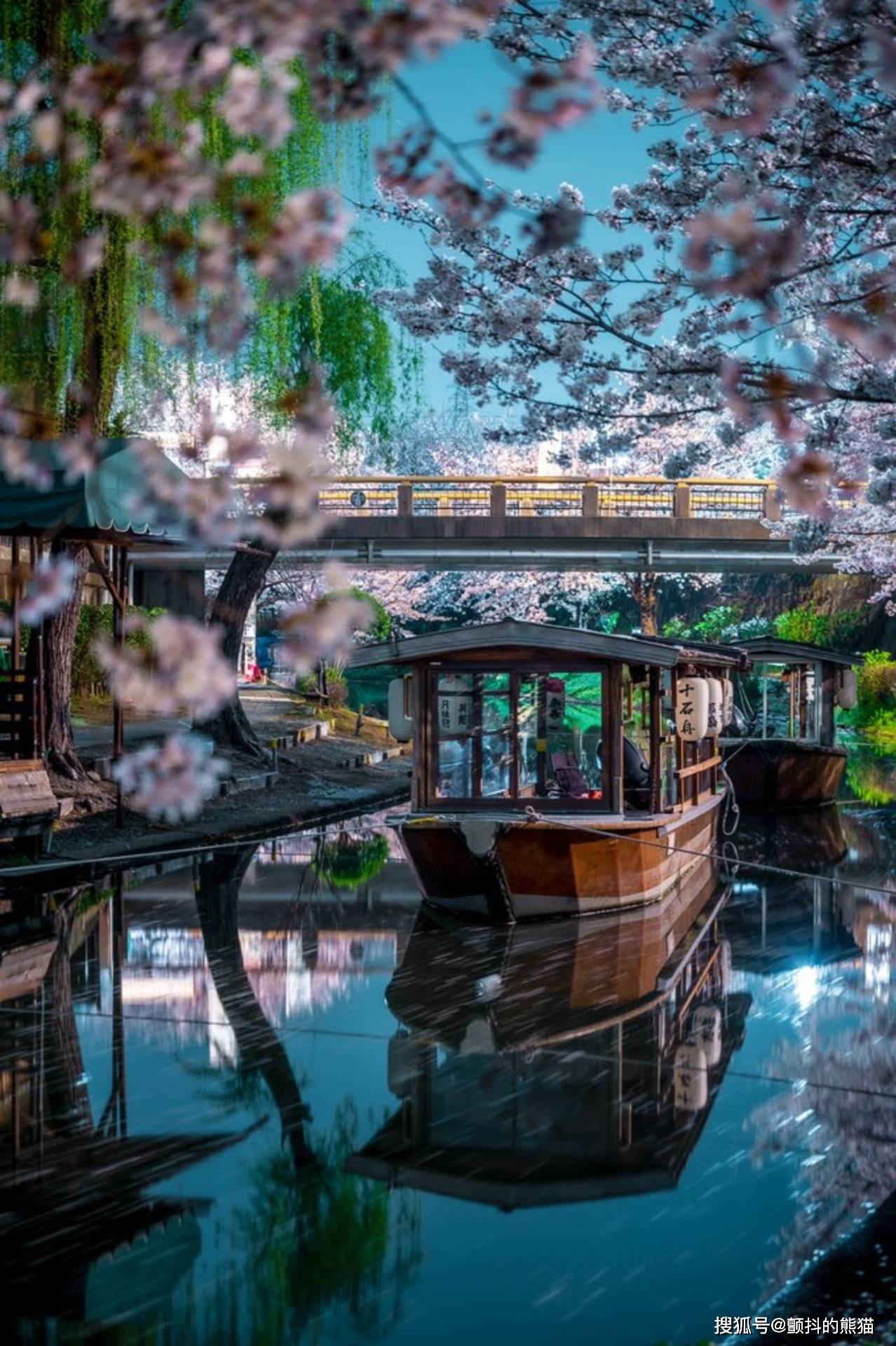 水色之夜！京都伏见十石舟的夜景照片简直就像游戏CG里的场景