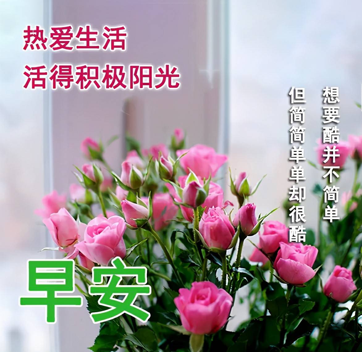 原创2021年早上好问候语温馨图片动态表情清晨祝福语大全带字图片
