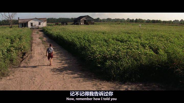 阿甘正传中的珍妮频频离开阿甘是什么原因