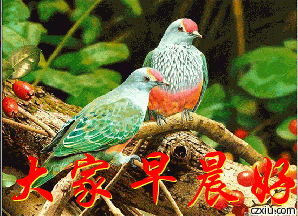 298_216gif 动态图 动图