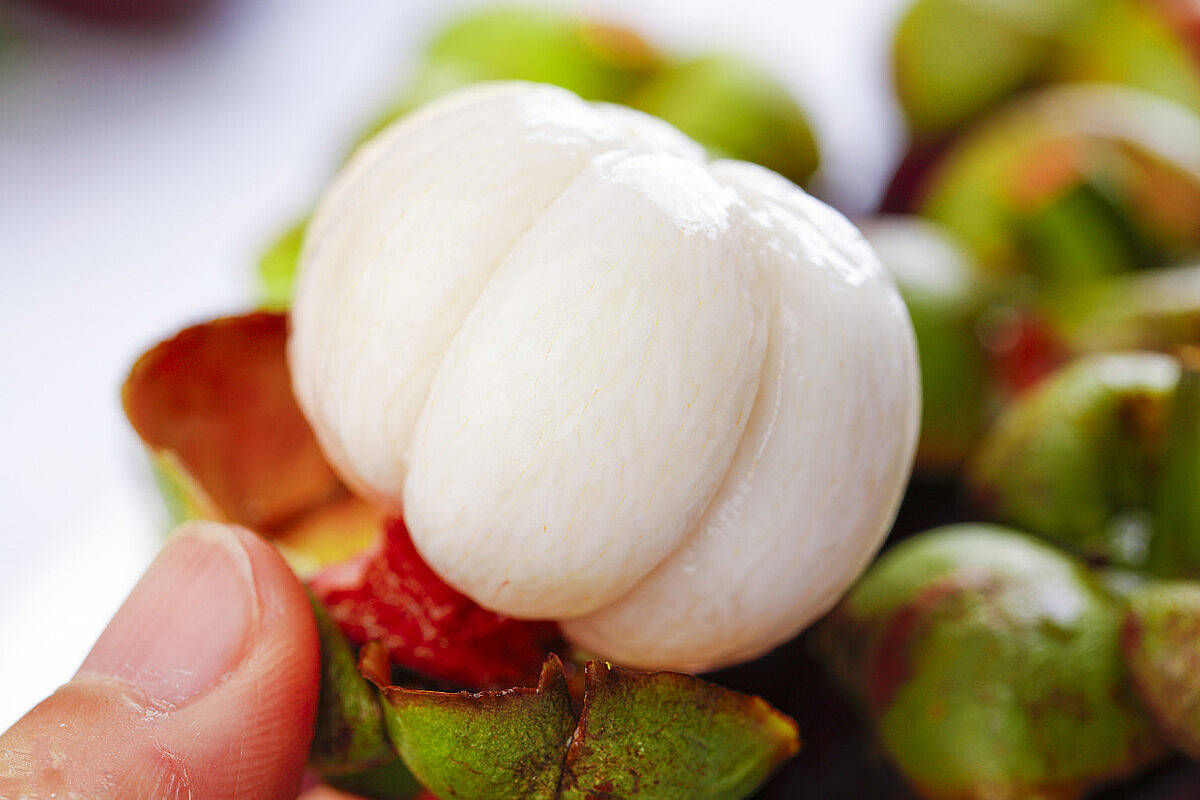 买山竹要挑"母山竹",只看壳上一个地方就够了,轻松挑到好山竹_手机