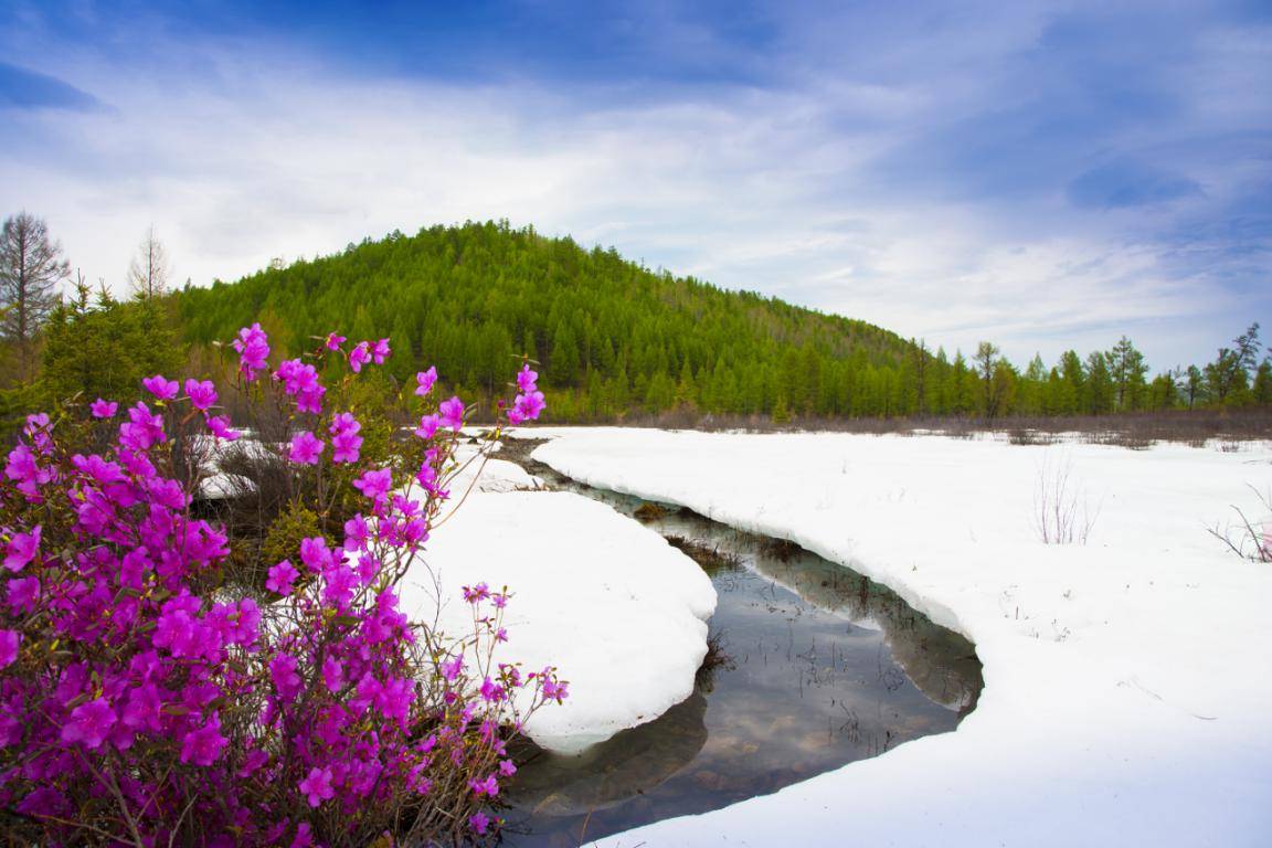 伊春红星火山岩国家地质公园,伊春美溪金沙河林场,伊春南岔仙翁山
