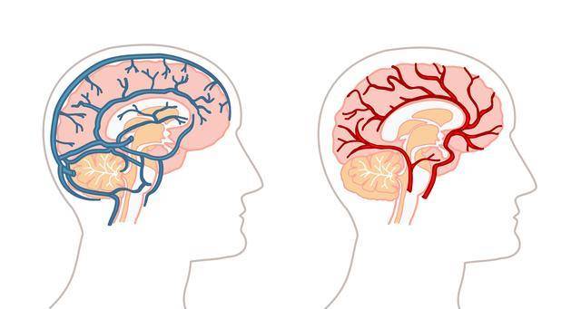 梦境解析,从心理角度深度剖析做梦梦到杀蛇的深层含义 梦境解析,从心理角度深度剖析做梦梦到杀蛇的深层含义