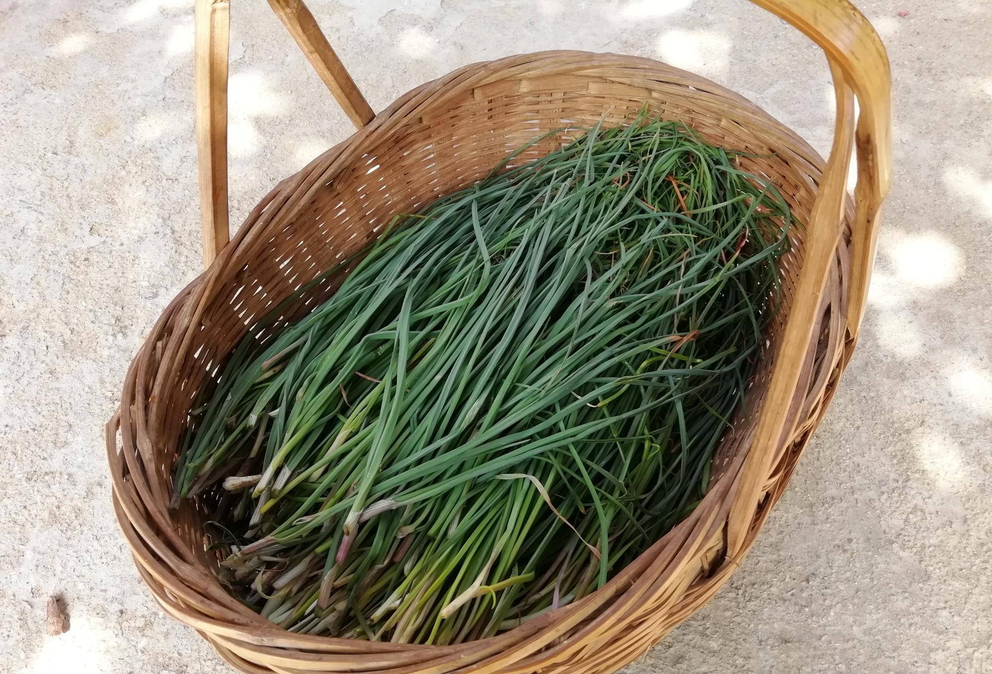 江西人爱吃的4种野菜,都是好东西,尤其第3种,会吃的人不多