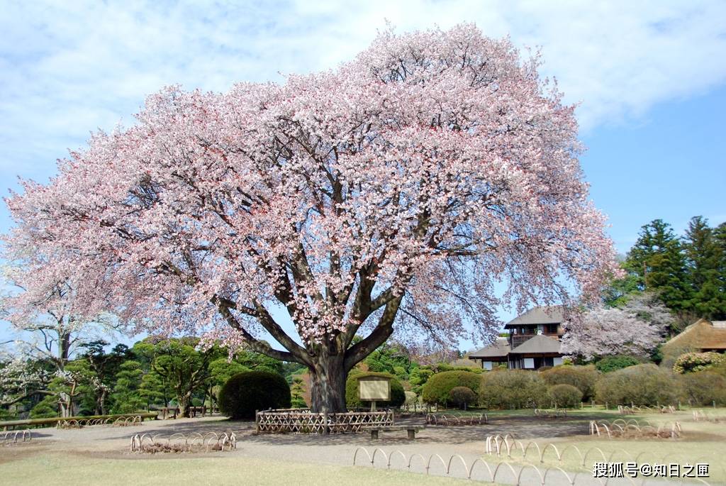 日本最著名的三大名园，可是园名却都是取自中国的诗词名著！