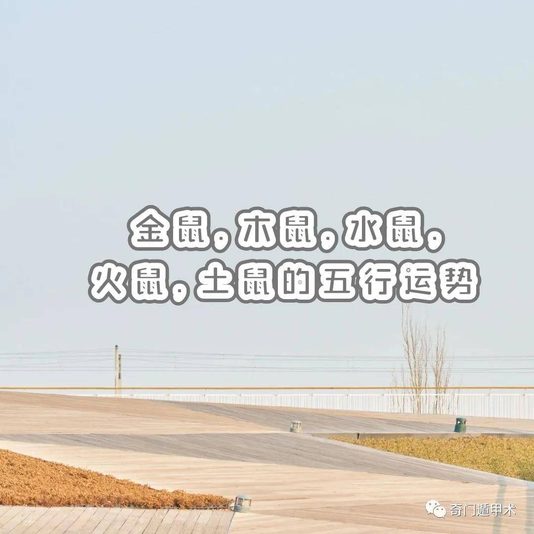 十二生肖 | 金鼠，木鼠，水鼠，火鼠，土鼠的五行运势