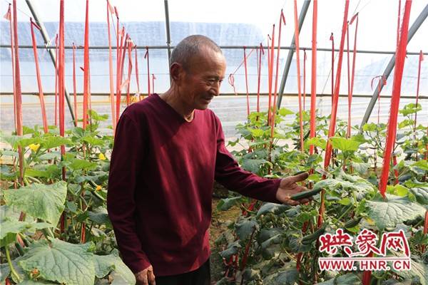 乡村振兴看淮阳淮阳区曹河乡红色引擎添活力乡村振兴谱新篇