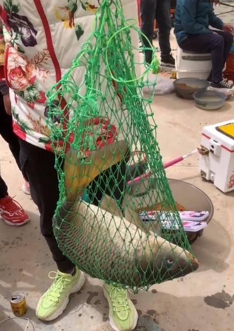 钓鱼钓到大汽车静海花园今日钓走四辆皮卡坑老板竟然身价上亿