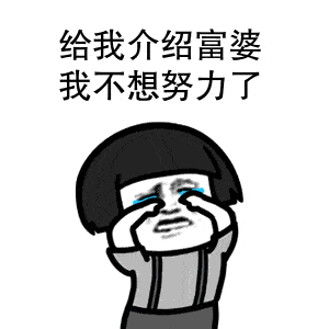 姐姐我不想努力了，可以做赘婿吗？