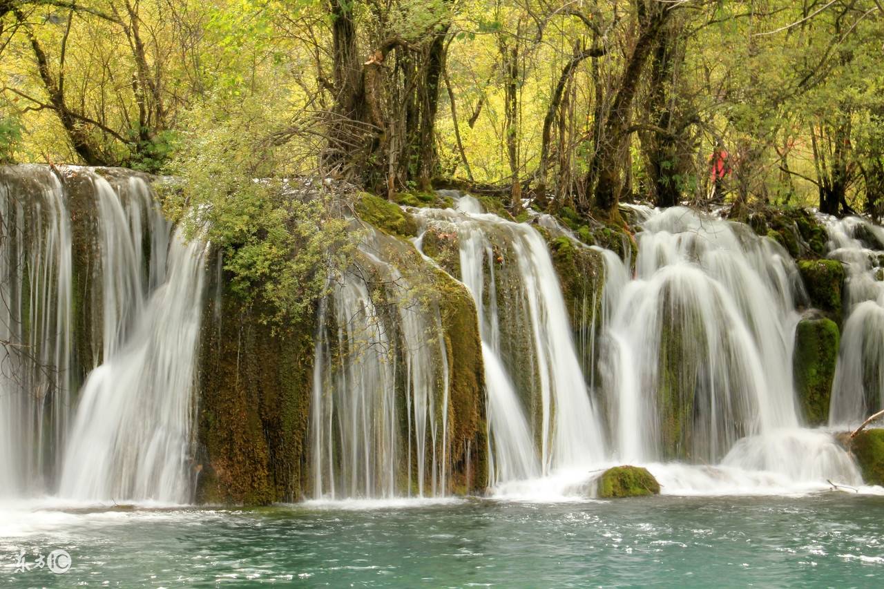 咸鱼还能翻身,未来财运财不错,财源广进的生肖